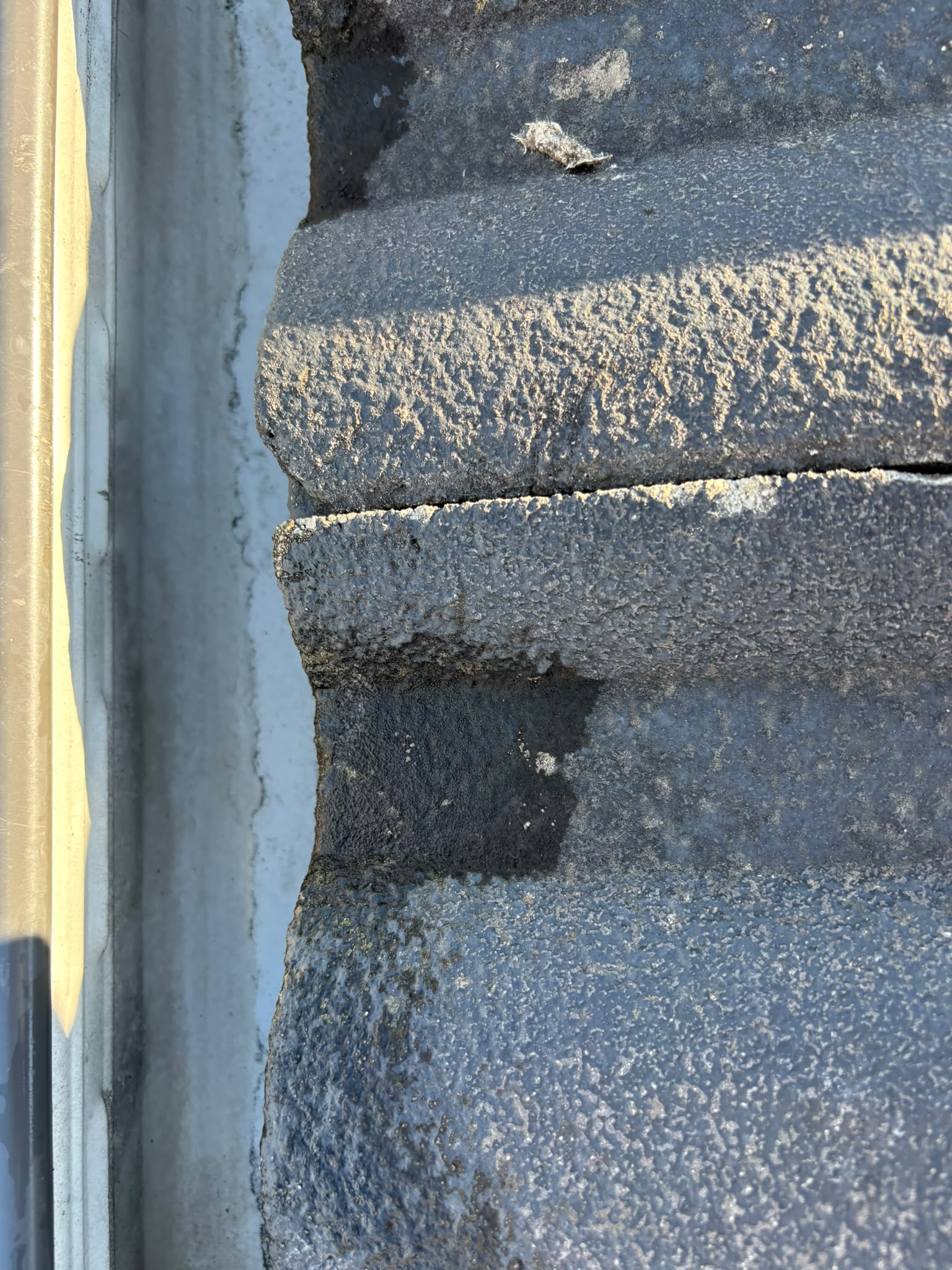 Roof maintenance service